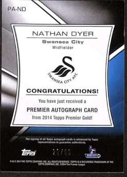 Nathan Dyer 20 of 50 Auto back