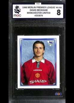 Merlin Premier League