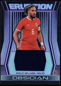 2019-20 Panini Obsidian Soccer Player Worn Purple Relic #E-AW Ashley Williams 12/75