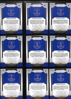2019‑20 Panini Prizm Premier League Everton team set card backs page 1 with badge and stats