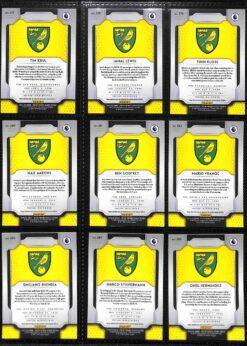 2019-20 Panini Prizm Premier League Norwich City team set card backs page 1 with badge and stats