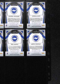 Brighton 2020-21 Premier League Team Set - Panini Prizm Page 2