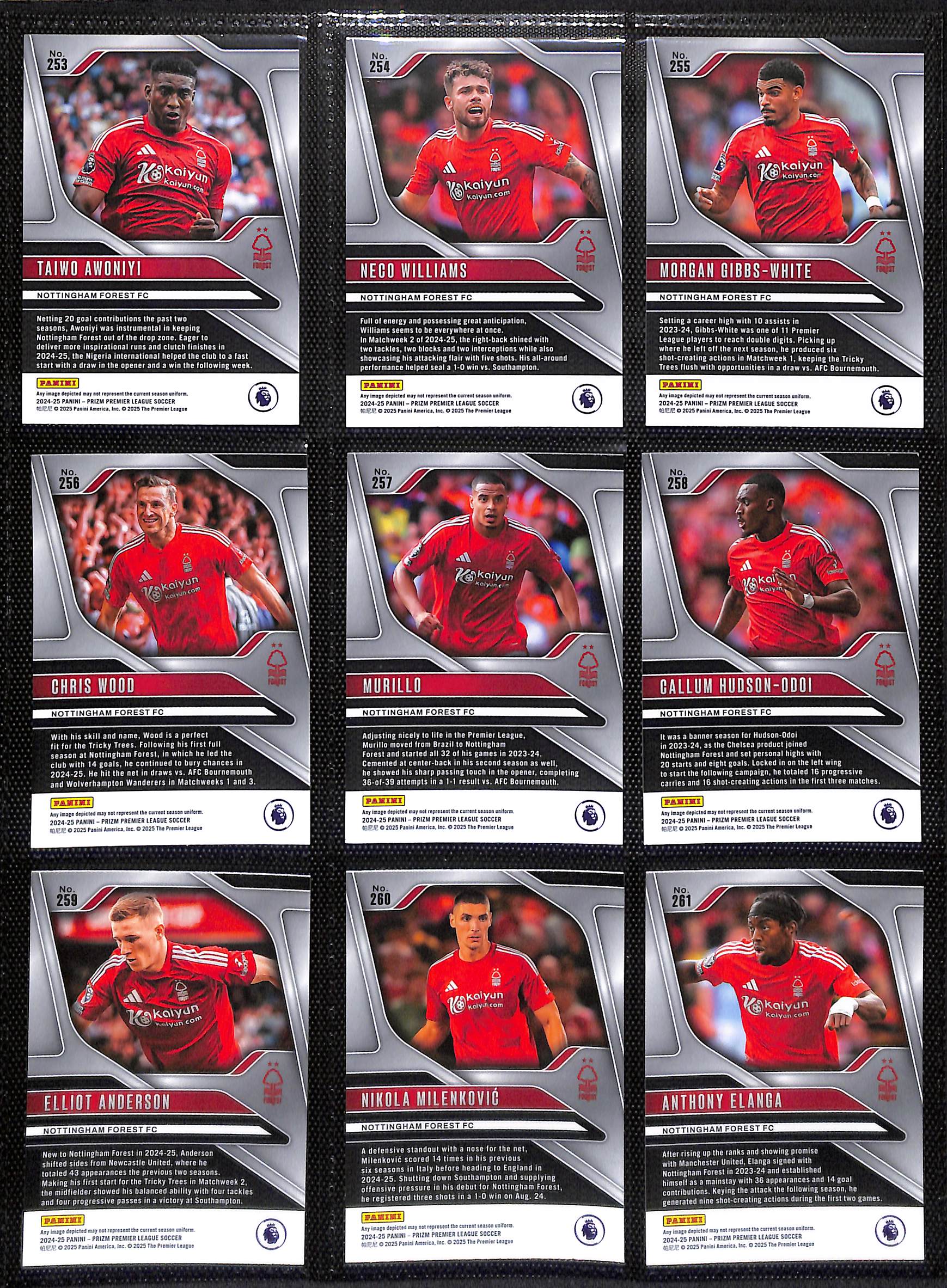 2024-25 EPL Panini Prizm Nottingham Forest trading cards page 1 back view