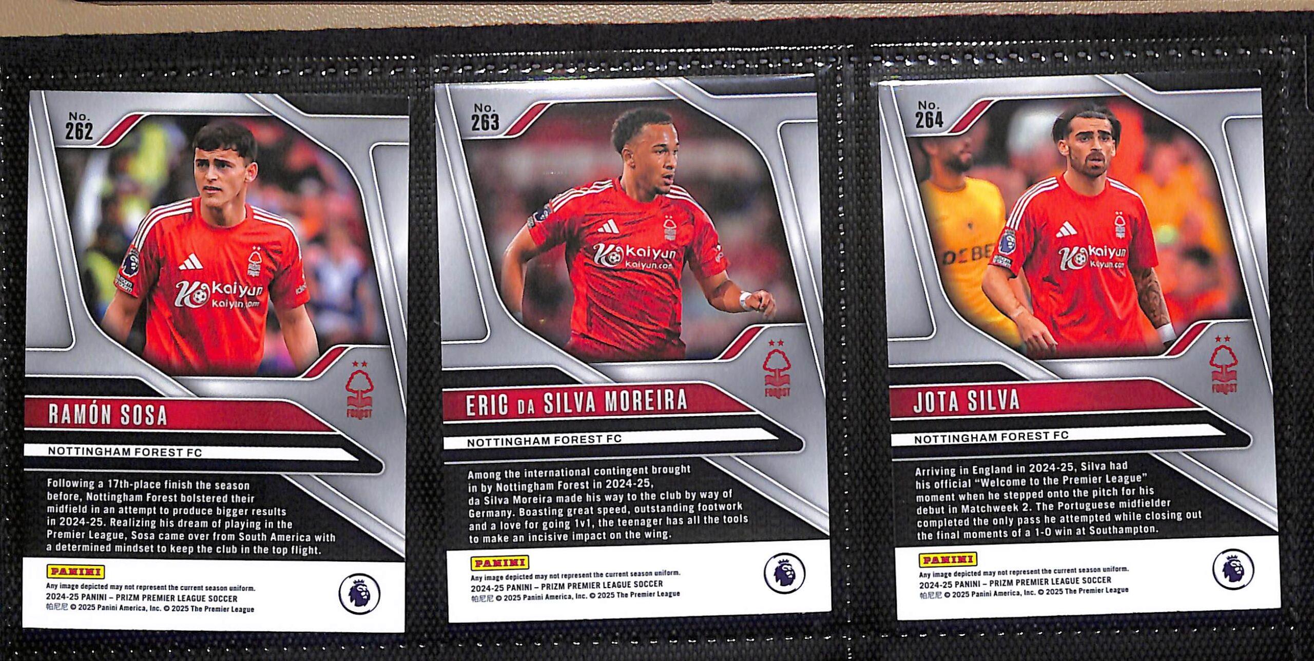 2024-25 EPL Panini Prizm Nottingham Forest trading cards page 2 back view