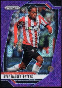 Panini Purple Mojo /25