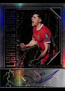 Panini Obsidian /149