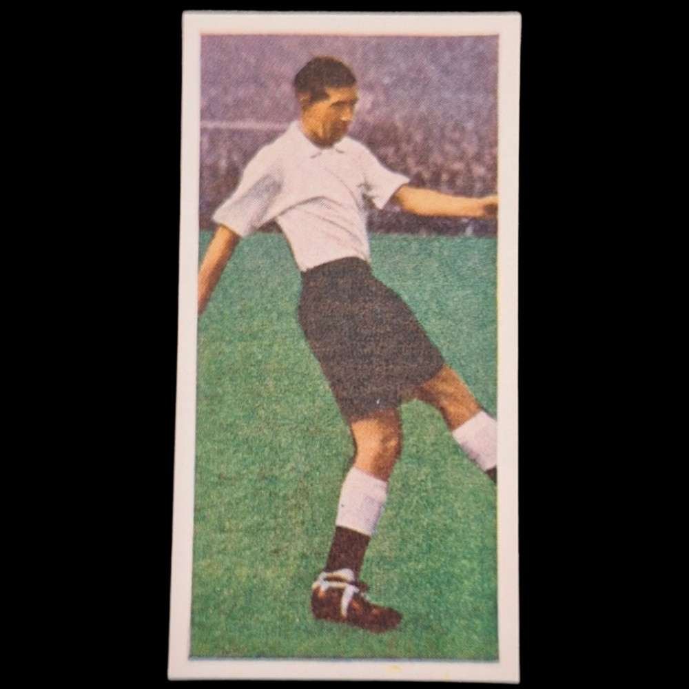Danny Blanchflower